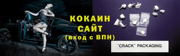шишки Балахна