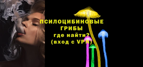 шишки Балахна
