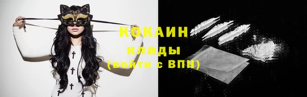гашик Беломорск