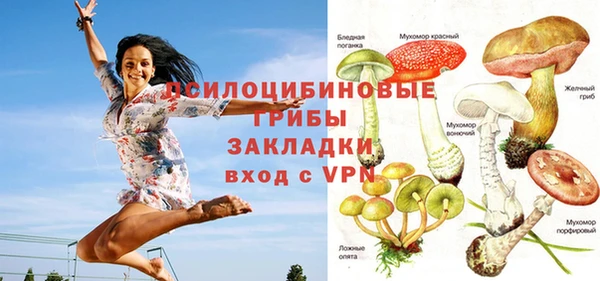 apvp Баксан